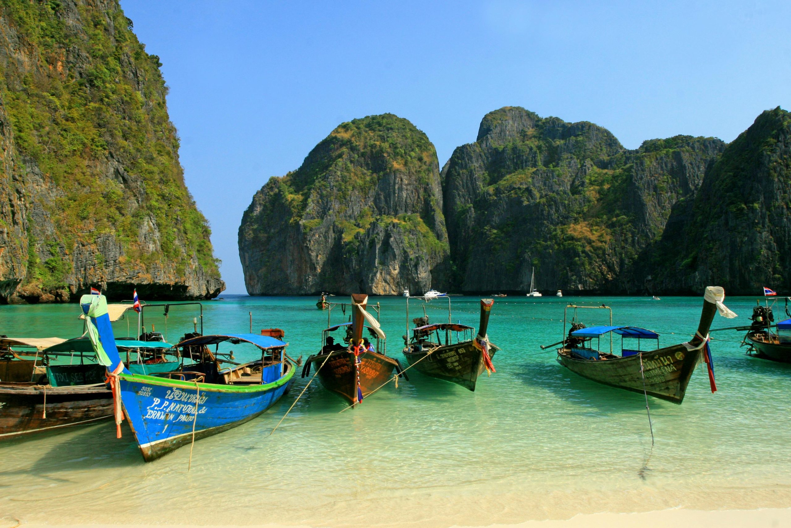 Colorful longtail boats anchored at picturesque Maya Bay, a tropical paradise in Thailand.
